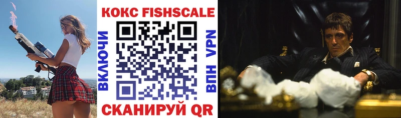Cocaine FishScale  как найти закладки  Гусев 