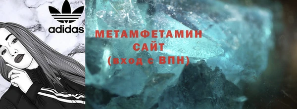 ГАЛЛЮЦИНОГЕННЫЕ ГРИБЫ Богданович