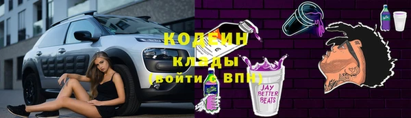 ГАЛЛЮЦИНОГЕННЫЕ ГРИБЫ Богданович