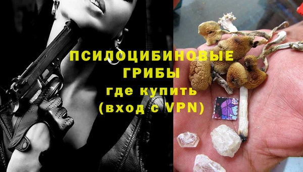 МДМА Белокуриха