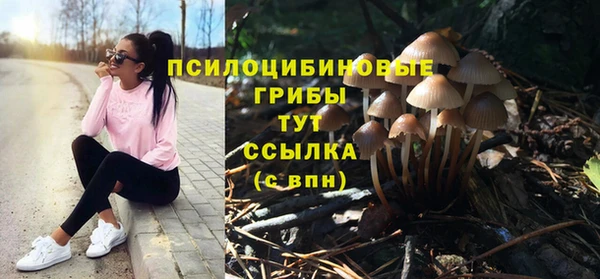 МДМА Белокуриха