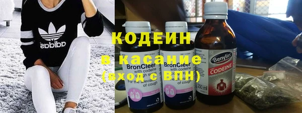 ГАЛЛЮЦИНОГЕННЫЕ ГРИБЫ Богданович