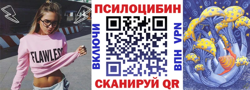 Галлюциногенные грибы Psilocybe  OMG ТОР  Гусев 